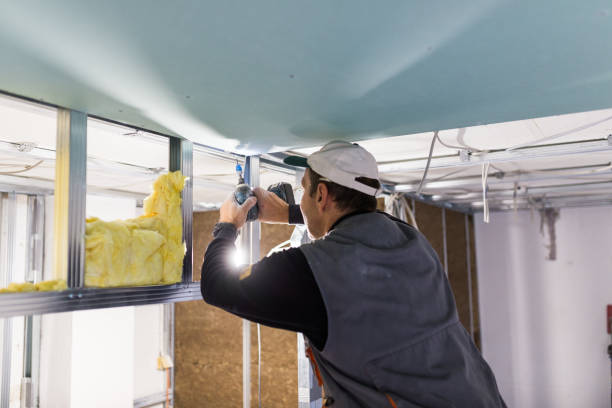 Best Eco-Friendly Insulation in Takoma Park, MD