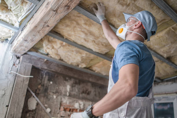 Types of Insulation We Offer in Takoma Park, MD