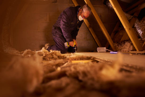 Best Energy Efficiency Insulation in Takoma Park, MD